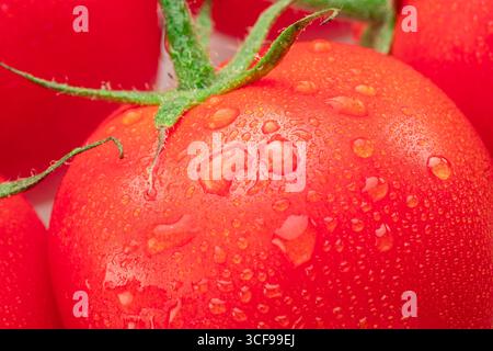 Tomate recouverte de gouttes d'eau en gros plan. Prise de vue macro. Banque D'Images