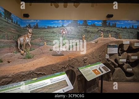 Musée du centre d'accueil dans le parc national de Bryce Canyon, Utah, États-Unis Banque D'Images