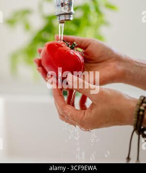 Gros plan des mains d'une femme lavant Une tomate Banque D'Images