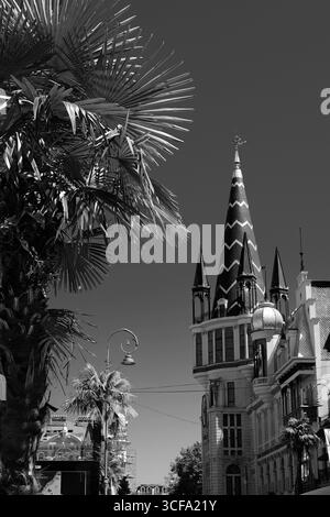 Photo en noir et blanc d'un palmier et d'une tour gothique à Batoumi, Géorgie Banque D'Images