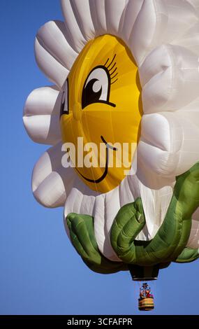 Miss Daisy (Akron, OH) ballon de forme spéciale à la Kodak Albuquerque International Balloon Fiesta, Albuquerque, Bernalillo County, Nouveau Mexique, États-Unis Banque D'Images