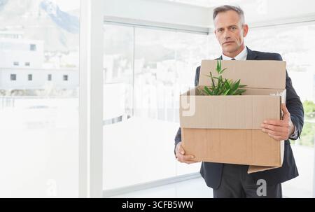 Professionnel masculin mature tenant la boîte en carton près de la poitrine dans le bureau avec la plante en pot, espace de copie Banque D'Images