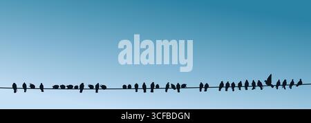 Silhouettes de pigeons sur un fil. Illustration de Vecteur