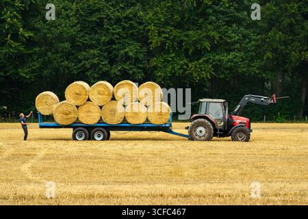 Tracteur et chargeur frontal stationnés dans le champ (vue latérale) et travail masculin (balles de paille ramassées chargées après récolte) - Farnley, North Yorkshire, Angleterre Royaume-Uni. Banque D'Images