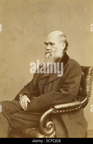 Charles Darwin, c1870. Naturaliste, géologue et biologiste britannique, inventeur de la théorie de l'évolution. La proposition de Darwin selon laquelle toutes les espèces de vie descendent d'un ancêtre commun est maintenant généralement acceptée et considérée comme un concept scientifique fondamental. Banque D'Images