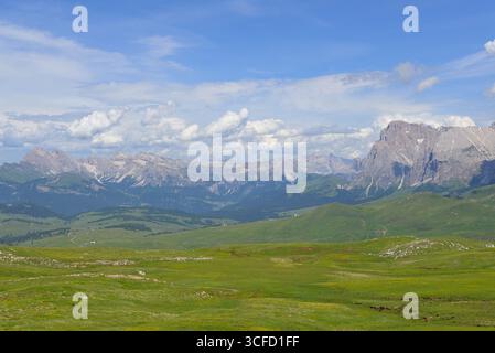 Prairies verdoyantes de la Seiser Alm avec des chaînes de montagnes en arrière-plan. Banque D'Images