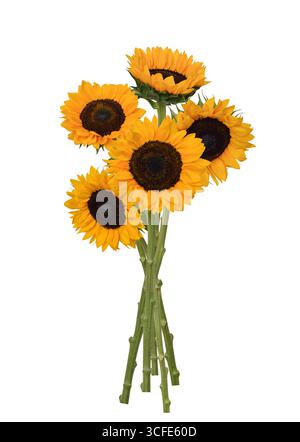 Bouquet de tournesols jaunes découpe isolée sur blanc Banque D'Images