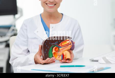 Traitement des maladies hépatiques en médecine, image conceptuelle. Modèle anatomique du foie sur les mains du médecin en consultation hépatologue Banque D'Images