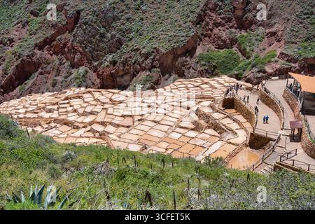 Cusco, Pérou - 15 mars 2025 : les étangs salants de Maras descendent une colline en terrasses dans la Vallée sacrée du Pérou. Banque D'Images