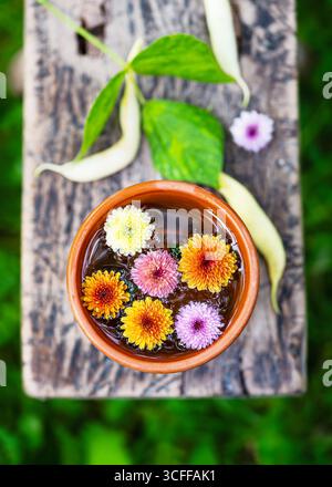 Les chrysanthèmes lumineux dans les tons de jaune, orange et rose flottent gracieusement dans un bol d'eau en argile. Placé sur bois rustique. Vue de dessus. Banque D'Images
