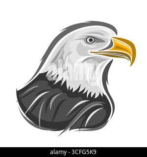 Illustration vectorielle de l'aigle chauve, grand oiseau proie nord-américain se distinguant par sa tête blanche, son bec jaune accroché et son corps noir, aigle chauve - nat Illustration de Vecteur