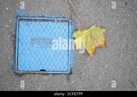 MARSH BARTON, EXETER, DEVON, Royaume-Uni - 24 SEPTEMBRE 2024 couvercle de compteur d'eau peint en bleu Banque D'Images
