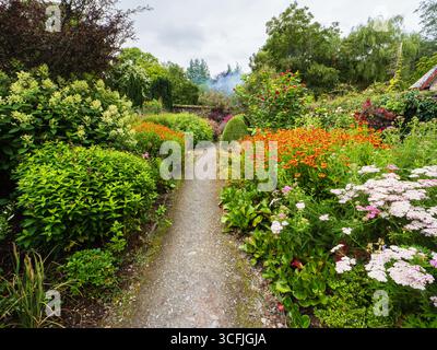 Combinaisons colorées de plantes vivaces d'été et d'arbustes dans la terrasse inférieure du jardin muré du Garden House, Devon Banque D'Images
