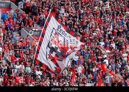 Partisans de Bayer Leverkusen pendant l'Allemand 1. Match de Bundesliga entre Bayer 04 Leverkusen et TSG Hoffenheim à Leverkusen le 23 août 2025 à BayArena, Allemagne. (Crédit : Marcel ter bals/MTB-photo/Alamy Live News) Banque D'Images