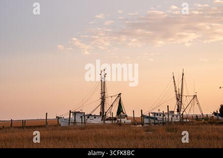 Embarcadère et rampe d'embarquement, île de Sainte-Hélène, Caroline du Sud Banque D'Images