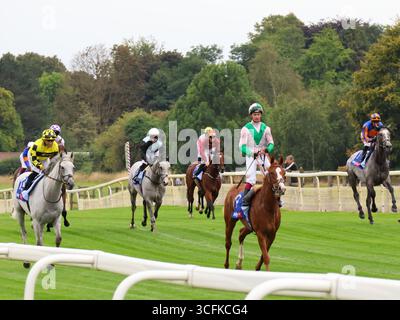 Avant le Sky Bet Ebor handicap à l'hippodrome de York, York, Angleterre. 23 août 2025 Banque D'Images