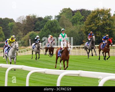 Avant le Sky Bet Ebor handicap à l'hippodrome de York, York, Angleterre. 23 août 2025 Banque D'Images