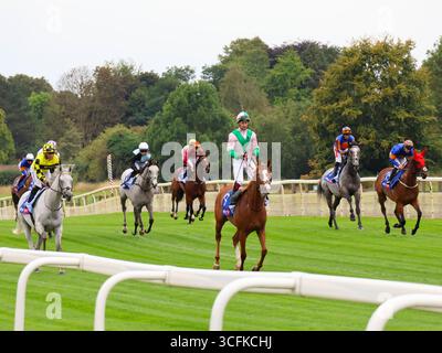 Avant le Sky Bet Ebor handicap à l'hippodrome de York, York, Angleterre. 23 août 2025 Banque D'Images