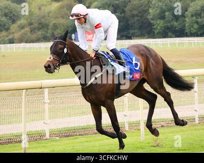 W Buick vainqueur Sky Bet Ebor handicap York 23 août 2025 post course Ethical Diamond Banque D'Images