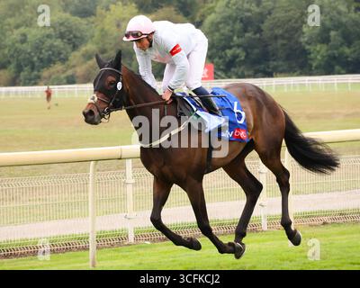 W Buick vainqueur Sky Bet Ebor handicap York 23 août 2025 post course Ethical Diamond Banque D'Images