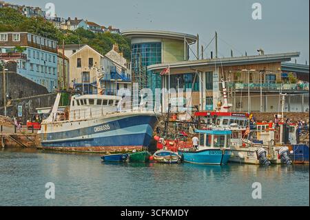 Bateaux de pêche de toutes formes et tailles dans le port de Brixham, Devon Banque D'Images
