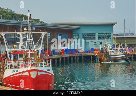 Bateaux de pêche de toutes formes et tailles dans le port de Brixham, Devon Banque D'Images