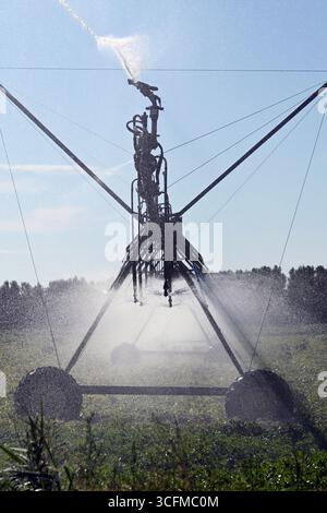 Grand système moderne de gicleurs d'irrigation arrosant les champs agricoles en été en format vertical Banque D'Images