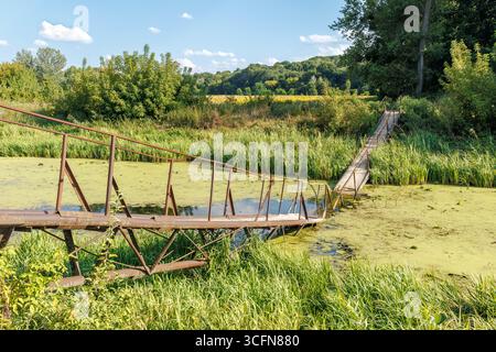 Un pont de métal et de bois rouillé et partiellement effondré s'étend sur un étang marécageux couvert d'algues vertes et entouré de roseaux denses, d'une étendue sauvage Banque D'Images