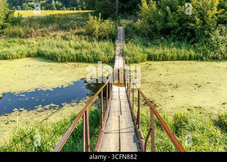 Un pont de métal et de bois rouillé et partiellement effondré s'étend sur un étang marécageux couvert d'algues vertes et entouré de roseaux denses, d'une étendue sauvage Banque D'Images