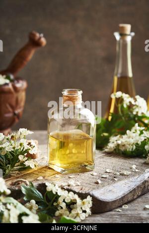 Une bouteille de teinture à base de plantes avec des fleurs d'aubépine fraîches au printemps Banque D'Images