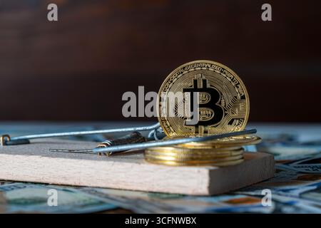 Golden crypto-monnaie coins bitcoin dans un piège à souris sur le fond de US billets de 100 dollars, gros plan. Arnaque ou concept de fraude de crypto-monnaie Banque D'Images