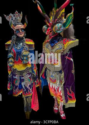 Paris, France, gros plan, costume de carnaval, 'femme Naupa', (Bolivie) (Musée du Quai Branly Jacques Chirac) exposé Banque D'Images