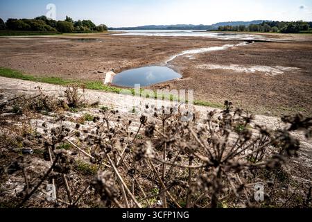 Les faibles niveaux d’eau et le lit du lac desséché sont exposés au lac Chew Valley, dans le Somerset Nord, où Bristol Water rapporte des stocks d’eau (au 11/08/2025) à 44 % comparativement à 73 % l’an dernier en 2024. Date de la photo : dimanche 24 août 2025. Banque D'Images
