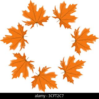 Couronne de feuilles d'érable sèches orange. Illustration botanique vectorielle sur un fond blanc. Thème d'automne, feuilles d'arbres Illustration de Vecteur