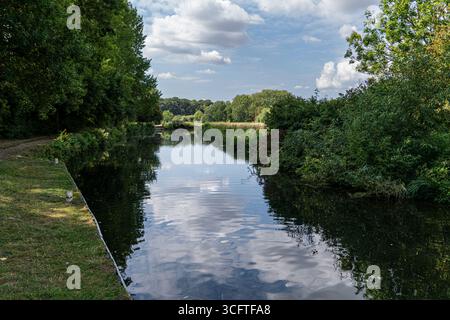 Scène estivale lumineuse d'écluses de canal, roseaux et surface miroitante Banque D'Images