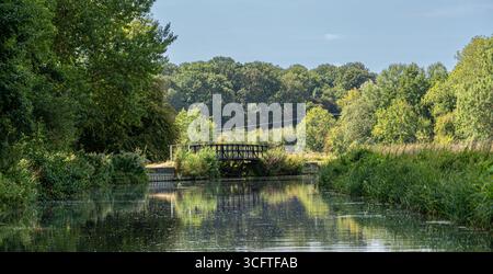 Scène estivale lumineuse d'écluses de canal, roseaux et surface miroitante Banque D'Images
