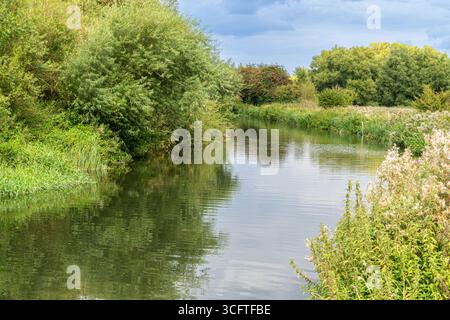 Scène estivale lumineuse d'écluses de canal, roseaux et surface miroitante Banque D'Images