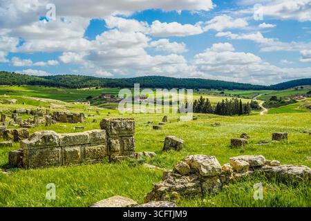 Ruines romaines, Madaure, Souk Ahras, Algérie Banque D'Images