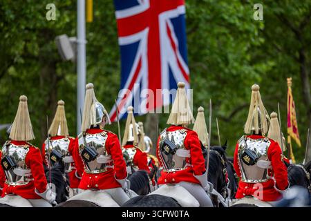 Lundi 5 mai 2025, des milliers de personnes se sont rassemblées pour marquer le 80e anniversaire de la fin de la seconde Guerre mondiale en Europe. Un défilé commémoratif a voyagé du Parlement, le long de Whitehall, et le long du Mall jusqu'au palais de Buckingham. Banque D'Images