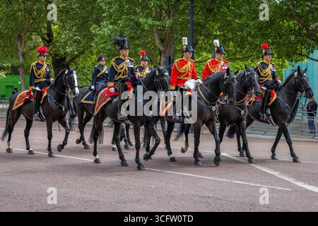 Lundi 5 mai 2025, des milliers de personnes se sont rassemblées pour marquer le 80e anniversaire de la fin de la seconde Guerre mondiale en Europe. Un défilé commémoratif a voyagé du Parlement, le long de Whitehall, et le long du Mall jusqu'au palais de Buckingham. Banque D'Images