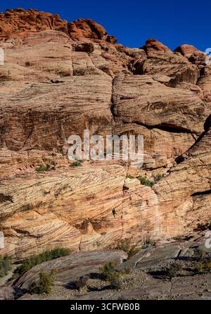 Red Rock Canyon Las Vegas Banque D'Images