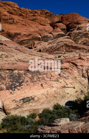 Red Rock Canyon Las Vegas Banque D'Images