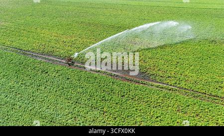 Vue aérienne de drone du système d'irrigation, arroseurs de pistolets de pluie à jet d'eau sur le terrain, paysage de scène rurale le jour ensoleillé, fond de champ vert Banque D'Images