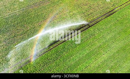 Vue aérienne de drone du système d'irrigation, arroseurs de pistolets de pluie à jet d'eau sur le terrain, paysage de scène rurale le jour ensoleillé, fond de champ vert Banque D'Images