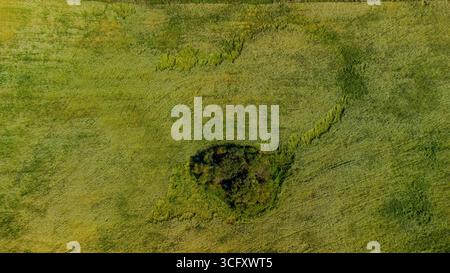 Vue aérienne d'une formation en forme de cœur d'arbres et de végétation dans un champ verdoyant, avec une extension naturelle en forme de queue. Un motif Land art unique c Banque D'Images