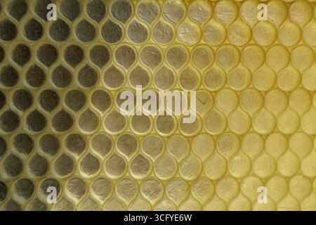Le mur de verre texturé partiellement éclairé par la lumière du soleil brillante se compose d'un motif de treillis en nid d'abeilles interconnecté en forme de goutte d'eau répétitif. Banque D'Images