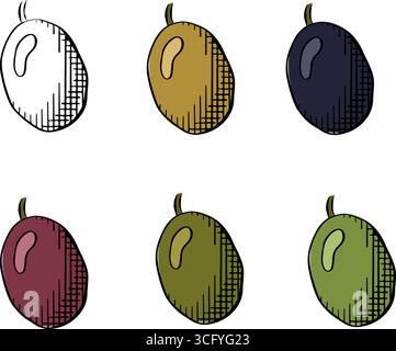 Olive Berry isolé unique coloré. Illustration vectorielle d'encre de ligne graphique. Baies grecques fraîches. Légumes à l'huile italiens, oliva. texture pour draps, Illustration de Vecteur