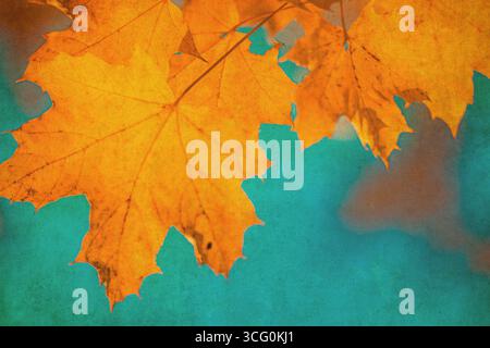 Feuilles d'automne sur fond vintage. Texture d'automne grunge parfaite. Banque D'Images