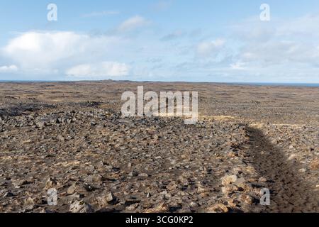 Champ de lave sur la côte ouest islandaise près de hafnarberg Banque D'Images