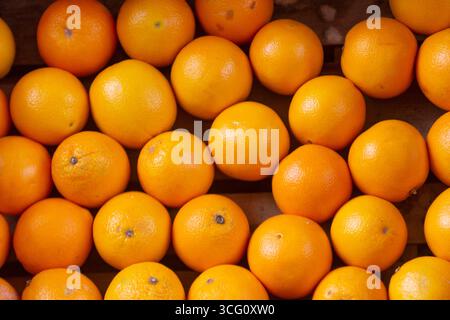 gros plan macro d'oranges rondes et saines avec une peau texturée, parfait pour un fond alimentaire Banque D'Images